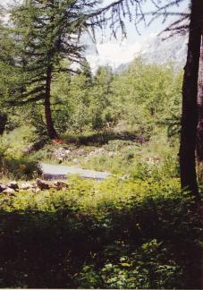 Nous bivouaquerons ici