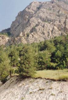 La falaise des Vigneaux