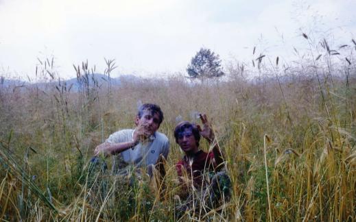 Pause dans les champs